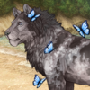 Butterflies for Leopons [Blue]